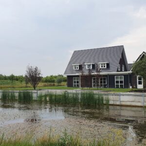 Grote oude fruitbomen; Echte blikvangers!