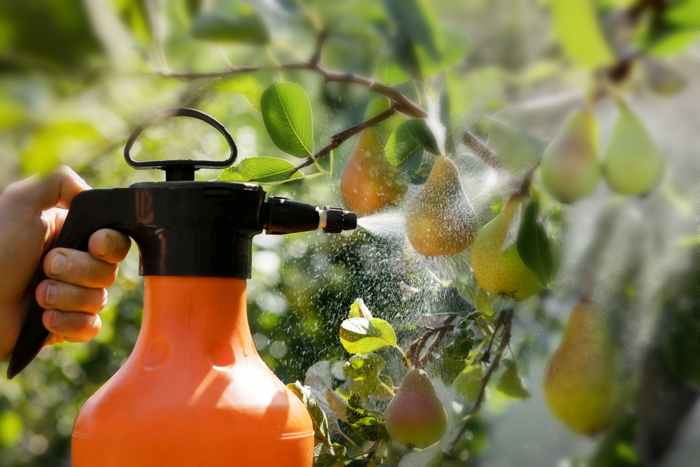 Perenschurft behandelen